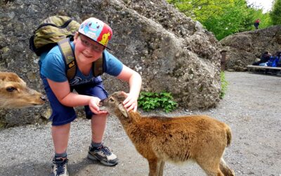 Spezialprogramm Dienstag: Tierpark, 5./6. Klasse Spiringen