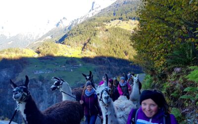 Lama Trekking