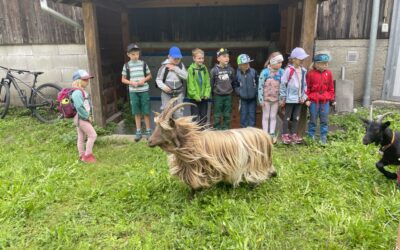 Herbstwanderung 1. und 2. Klasse, Schulen Schächental