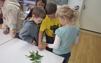 Projekttage „Natur pur“ Zyklus 1, Mittwoch, 3. Juni